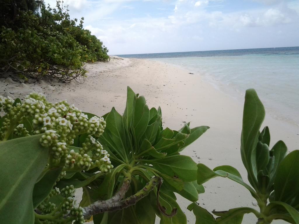 Muli Inn Surf View Maldives Exterior foto