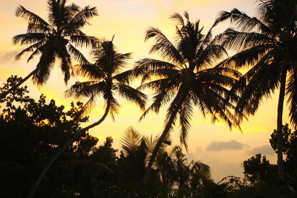 Muli Inn Surf View Maldives Exterior foto